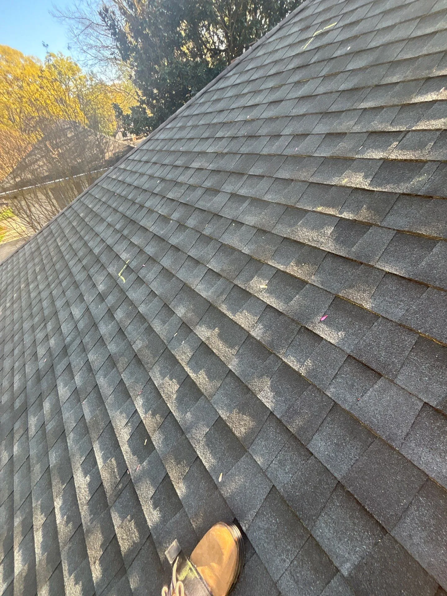 Luxury Shingles In North & South Carolina Super Roofing Company|Luxury Shingles